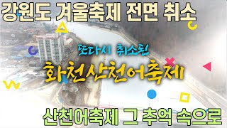 강원도 겨울축제 전면 취소 화천산천어축제장 아름다운 선등거리를 저와 함께 걸어보실래요?