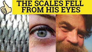 🔵 The Scales Fell From His Eyes - Meaning - English Idioms- Scales Have Fallen From My Eyes Examples