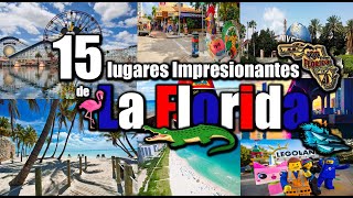 🛫15 amazing places in Florida🐊