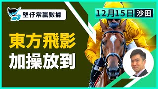 【堅仔常贏數據 】12月15日 東方飛影 加操放到 — 馬蕭蕭｜賽馬貼士​​​​​​​｜賽馬賠率​​​​​​​​​​​​​​​​​​​｜沙田日賽