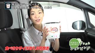 【ドラぷら】自動車用炊飯器　タケルくん（12V）