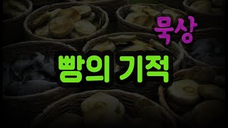 7/28 묵상 / 저렇게 많은 사람에게 이것이 무슨 소용이 있겠습니까?