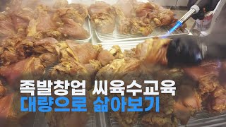 족발만들기 수입산제품 대량삶아보기 만원족발 아이템 마지막날 교육현장