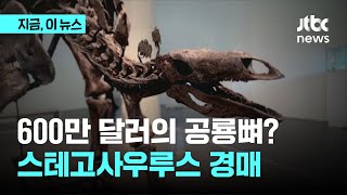 600만 달러의 공룡뼈?…스테고사우루스 경매｜지금 이 뉴스