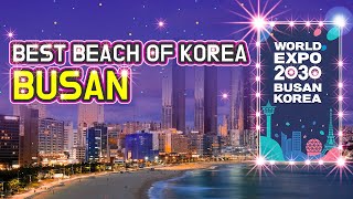 [YOU\u0026KOREA]The best summer resort in Korea: Busan