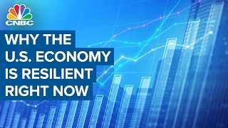 The U.S. economy is extremely resilient, says economist Betsey Stevenson