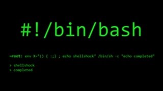 Shellshock Attack Lecture