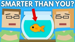What Would Make This Fish As Smart As You