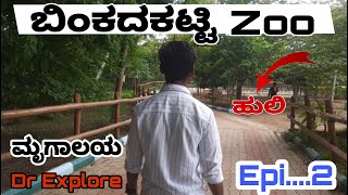 | BINKADAKATTI ZOO | GADAG ZOO  | EPISODE 2 | KANNAD BLOGS | KARNATAKA | Dr explore |