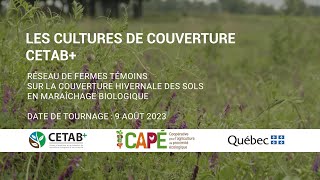 Cultures de couverture en production maraîchère biologique sans travail de sol | CETAB+