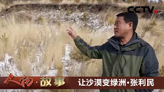 让沙漠变绿洲·造林排头兵张利民 20200812 |《人物·故事》CCTV科教