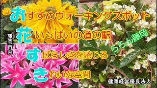 美松運送　おすすめウォーキングスポット　道の駅　ららん藤岡の花景色　ILOVE藤岡市　健康経営優良法人　物流業　運送業　倉庫業　ドライバー募集