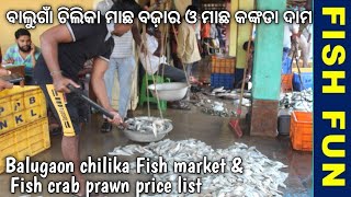 famous balugaon chilika fish market and price list of all crab prawn \u0026 fish