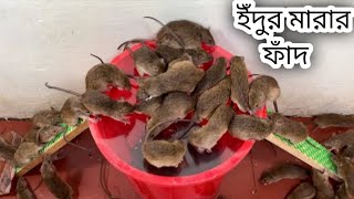 Best Mouse Traps //ইঁদুর ধরার ফাঁদ।।