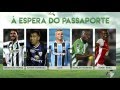 ProScout - Top 5 Libertadores