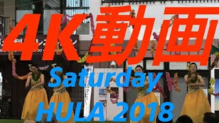 Saturday HULA2018 サタフライベント 黄色い衣装が素敵なフラダンス 道の駅サザンセトとうわ「瀬戸内のハワイの、アロハな土曜日」をYouTubeの4K動画でご満喫下さい