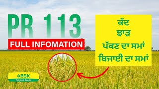 PR 113 Paddy details | Best Rice Variety | parmal rice variety | top paddy | high yield rice variety