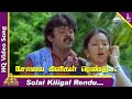 Sola Kiligal Rendu Video Song | Koyil Kaalai Tamil Movie Songs| Vijayakanth | Kanaka| Pyramid Music