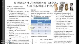 Stats Project Overview