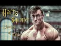 Harry Squatter and the Chamber of Gains