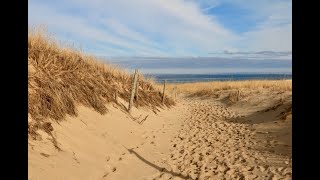 Cape Cod National Seashore: The Beach (Part 1) | Connecting Point | Aug. 6, 2021