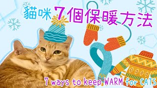 【橘貓軍團】養貓小秘訣：調溫貓窩有用嗎？貓咪7個保暖方法 7 Ways to Keep Warm for Cats