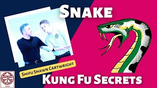 Snake Kung Fu Animal Style Striking & Techniques - Kung Fu Secrets