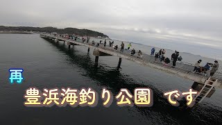 （再）　豊浜海釣り公園を紹介します