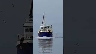 2430 Benni Sæm GK-26 - #trawler  #iceland #fishingvessel #vessel #fishingboat #icelandic #sailing