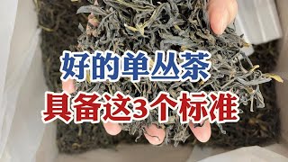 喝茶真的要学吗？好的单丛茶都具备这3个标准，记住就好了！