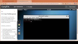 17.1.7 Lab File Management