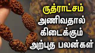 ருத்ராட்சம் அணிவதால்கிடைக்கும் அற்புத பலன்கள் | Scientific benefits of wearing Rudraksha