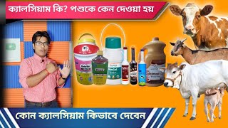 ক্যালসিয়াম কি? পশুদের কেন দেওয়া হয় || What is calcium?  The benefits of why animals are given