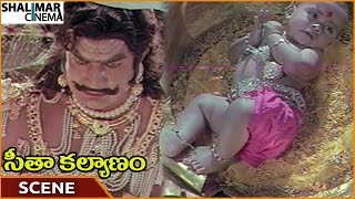 Seeta Kalyanam Movie || Satyanarayana Shocked On Seeing Baby In Lotus || Ravi Kumar ||Shalimarcinema