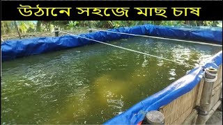 উঠানে সহজ পদ্ধতিতে মাছ চাষ। easy method fish culture on yard.