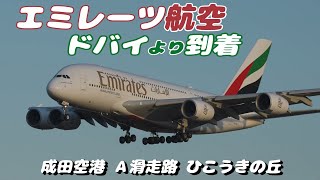 【4K】成田空港 ひこうきの丘周辺 エミレーツ航空 エアバスA380 ドバイより到着