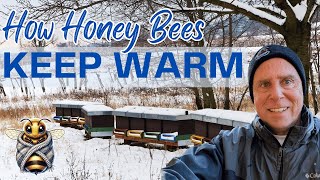 The Genius Heating System Inside Every Beehive