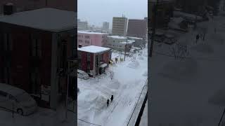 2024年1月25日　ちょっと吹雪