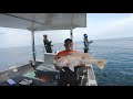 Slow Jigging Jenahak Kerapu  Karang Tinggi Slow pitch Jigging Pulau Jarak Shimano Ocea Jigger Vol 3