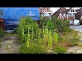 🫣 SURPRISE Transformation! GIANT Weeds & Pressure Washing..