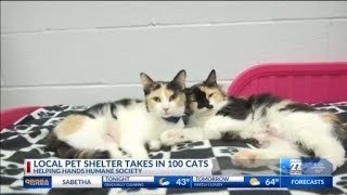 Helping Hands Humane Society overflowing with pets