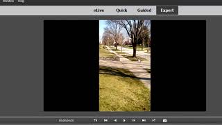 Using portrait 9:16 phone video in a landscape 16:9 Premiere Elements project