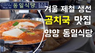 칼칼하고 시원한 맛 ㅣ 겨울보양식 ㅣ 강원도 맛집 ㅣ 양양 동일식당 ㅣ 곰치국 솔직 먹방