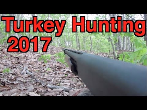 Turkey Hunting 2017 Youtube