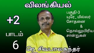 +2 zoology lesson 6 urey miller sothanai \u0026 tholluyiriya saandrukal