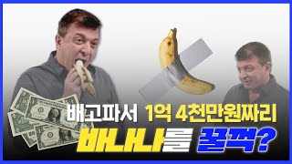 [예술의 발견] 바나나를 테이프로 벽에 붙이자 1억 4천만원이 뚝딱! 🍌 이게 예술이야!?😡