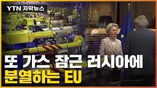 [자막뉴스] 유럽 분열 전술 나선 러...흔들리는 '반러 연대' / YTN