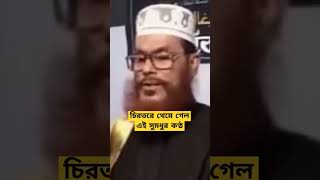 😭চিরতরে থেমে গেল এই সুমধুর কণ্ঠ😭আল্লামা সাঈদী | Allama Saidi #shorts #short #shortvideo #shortsvideo