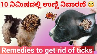 ಜಾನುವಾರುಗಳ ಉಣ್ಣಿ ನಿವಾರೆನೆಗೆ ಈ ಔಷದ ಬಳಸಿ| Ticks removal medicine #ticks #ticksremoval  #cow #dog