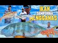 Trip Mancing Jigging 3 Hari Di semporna Sabah